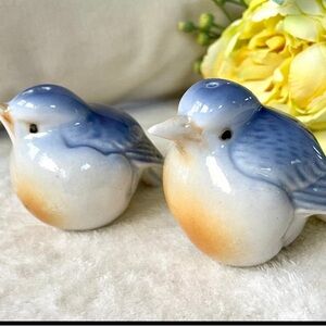 Vintage 80’s Bone China Blue Bird / Robin Beautiful Set of Salt Shakers